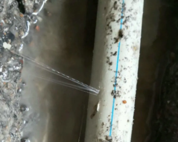 中方卫生间测漏水多少钱